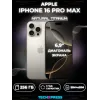 iPhone 16 Pro Max 256 ГБ, Natural Titanium